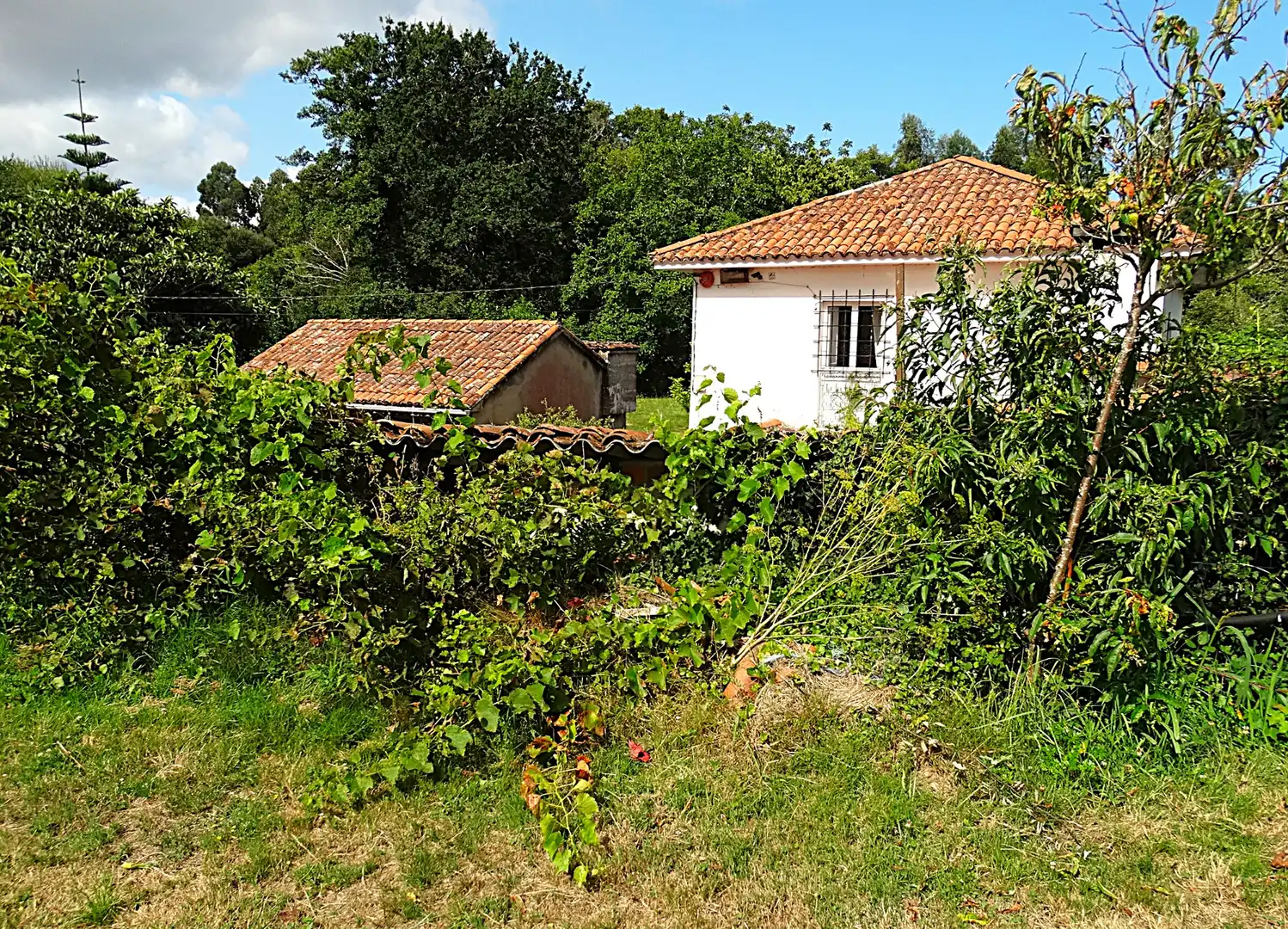 Finca rústica en venda en Narón amb Calefacció, Jardí privat i Parquet