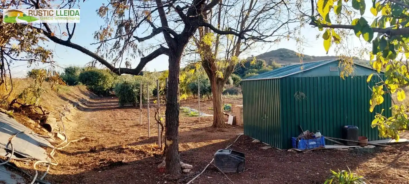 Terreny rústic en venda a Juneda, imagen 4