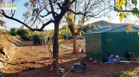 Photo 4 of Land for sale in Juneda, Lleida