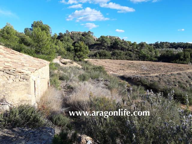 Terreno en Venta en Fabara