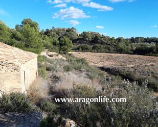 Land for sale in Fabara