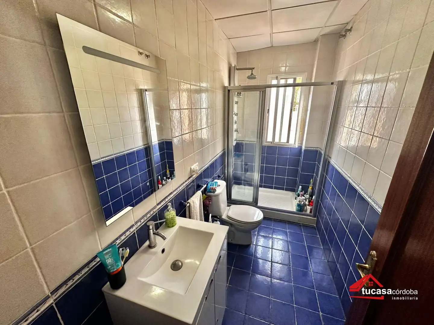 Bany de Casa o xalet en venda en Córdoba amb Aire condicionat, Jardí privat i Piscina