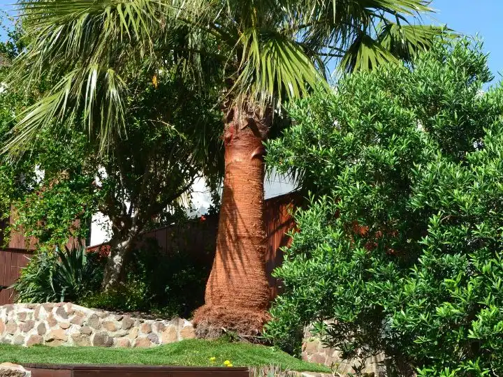 Jardí de Casa o xalet de lloguer en Las Negras