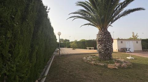 Photo 2 of Flat to rent in Los Balcones y los Altos, Alicante