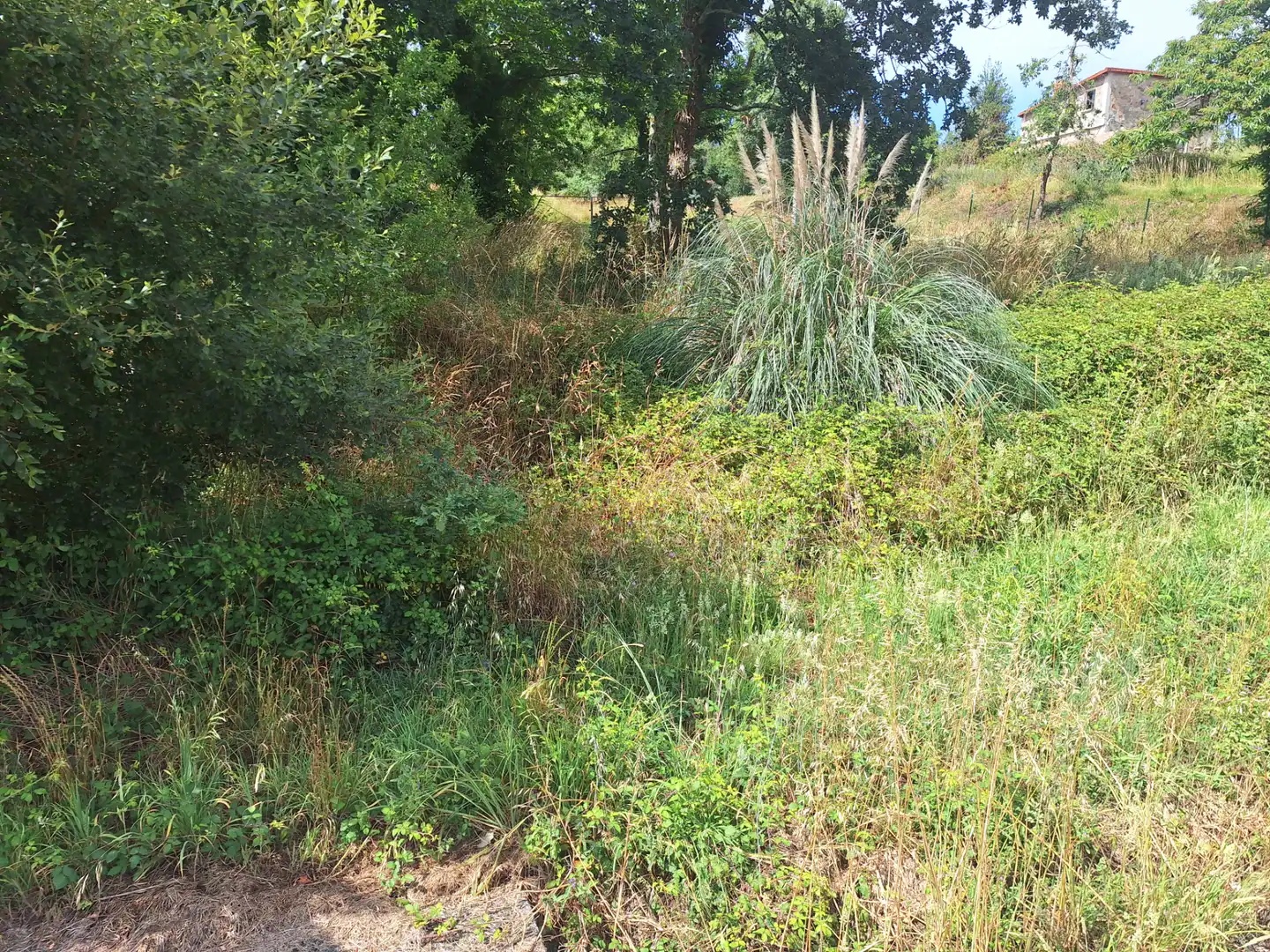 Grundstücke zur Miete in Culleredo