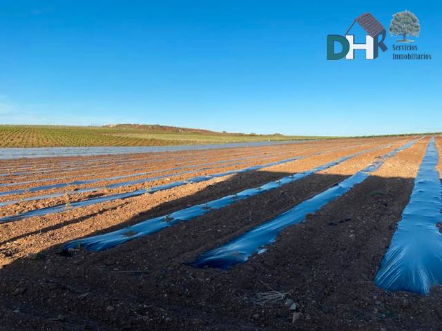 Terreno residencial en Venta en Villafranca de los Barros