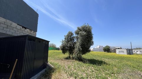 Foto 5 de Terreny en venda a Rompeserones, Las Palmeras - Dehesilla, Sanlúcar de Barrameda