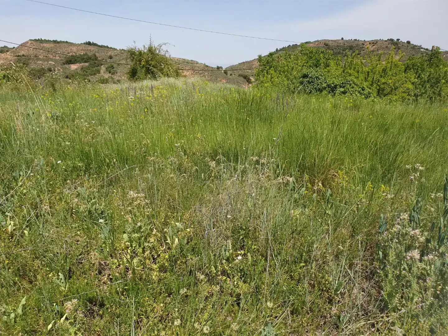 Land for sale in Ocón