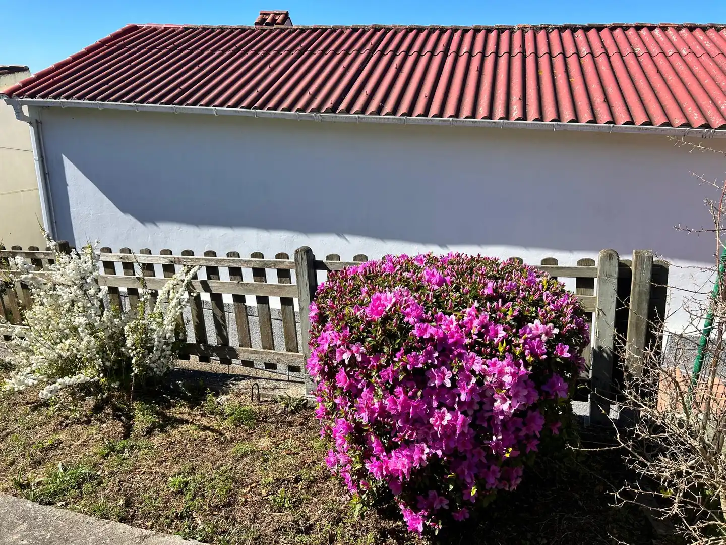 Jardín de Casa o chalet en venta en Valdoviño con Jardín privado y Terraza