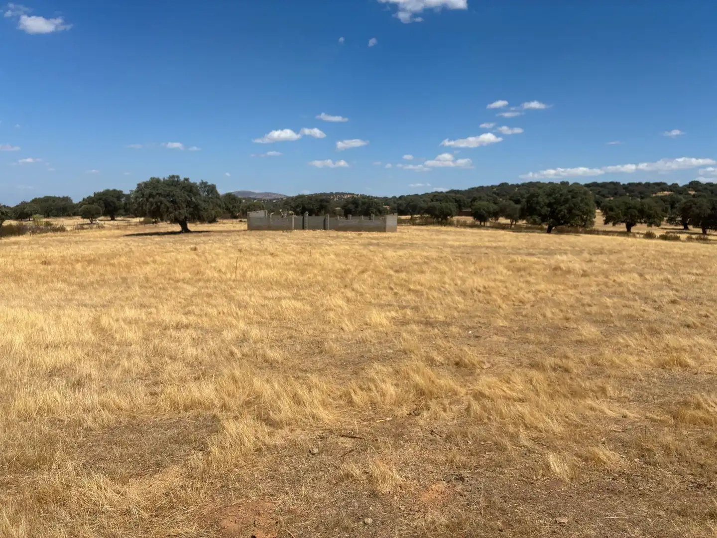 Terreno rustico in vendita a Mohedas de la Jara, imagen 29