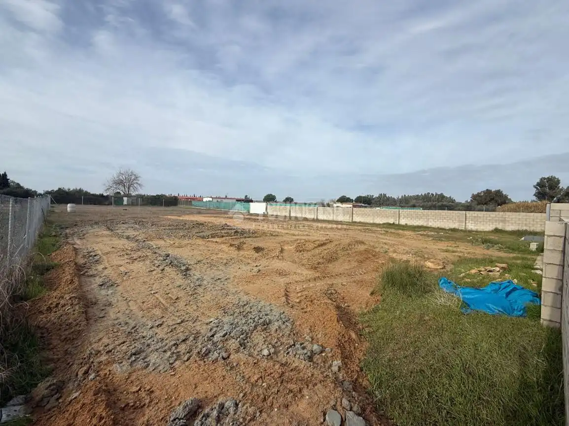 Land for sale in Arahal