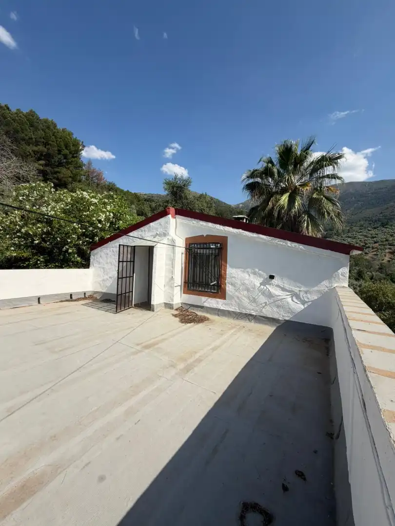 Vista exterior de Finca rústica en venta en Los Villares con Terraza, Trastero y Piscina
