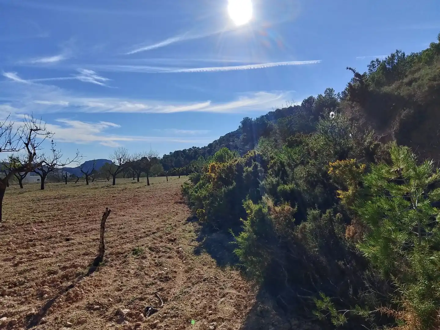 Terreno rustico in vendita a Carrer la Creu, imagen 22