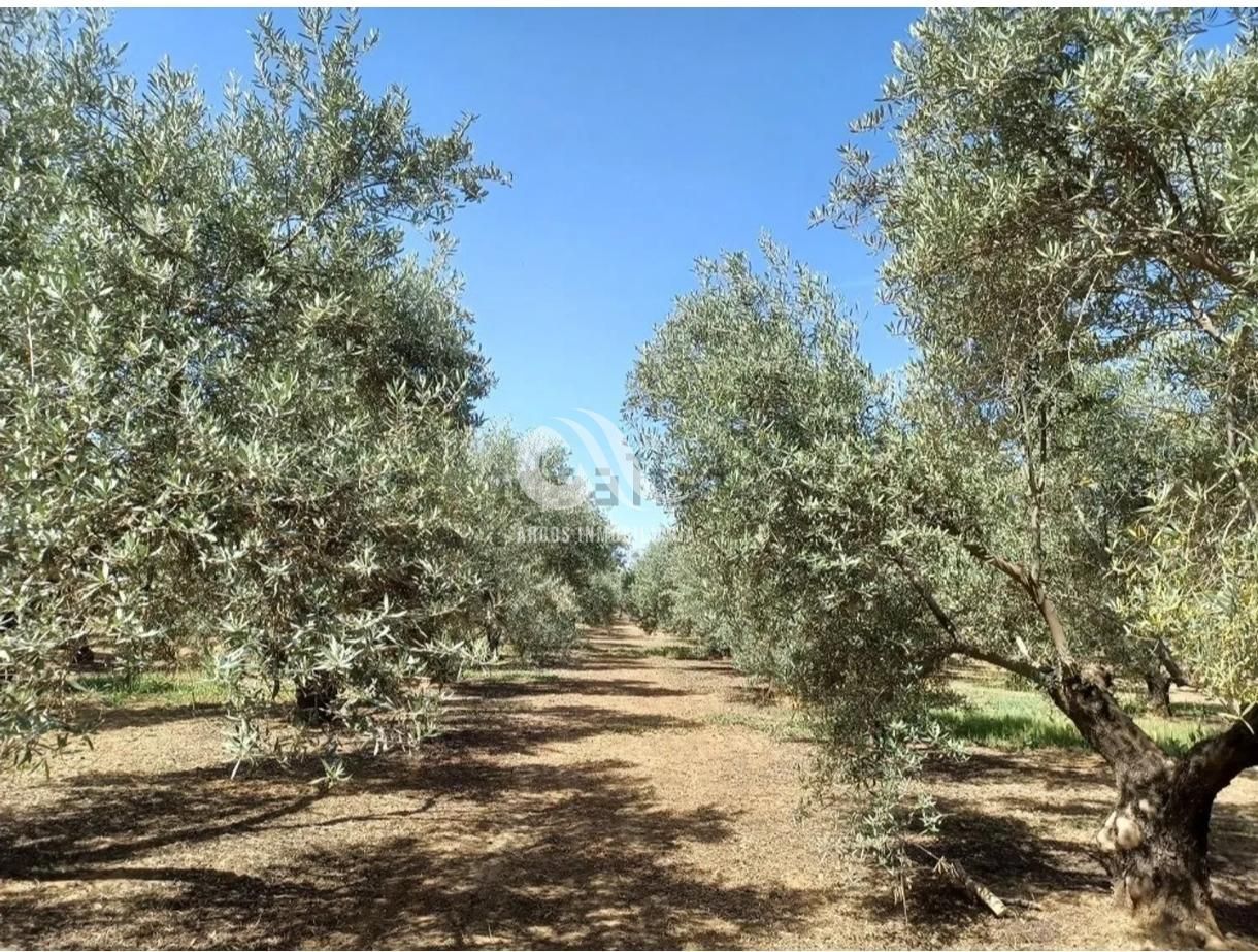 Country homes for sale in  Córdoba Capital