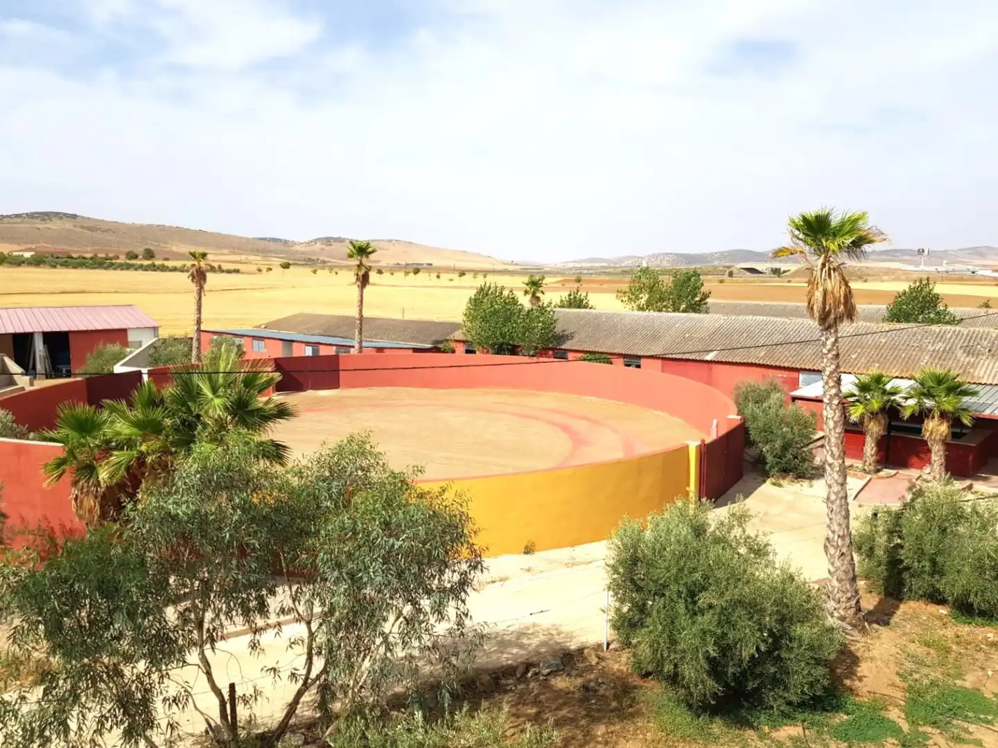 Casa rústica en venda a Torrenueva, imagen 30
