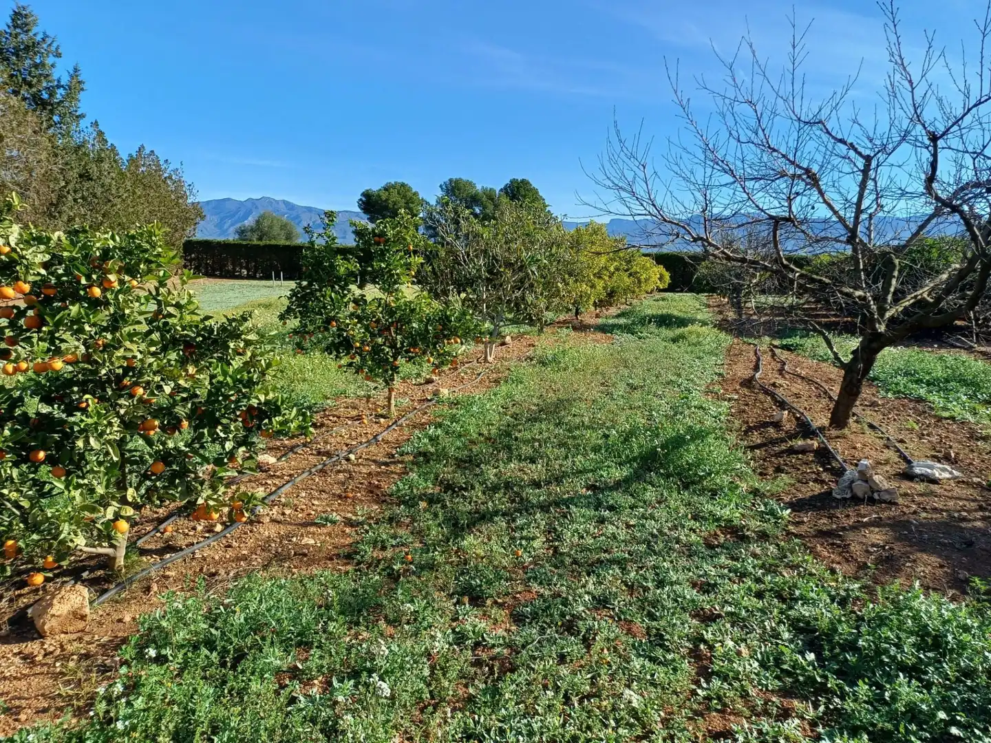 Land for sale in Aldover