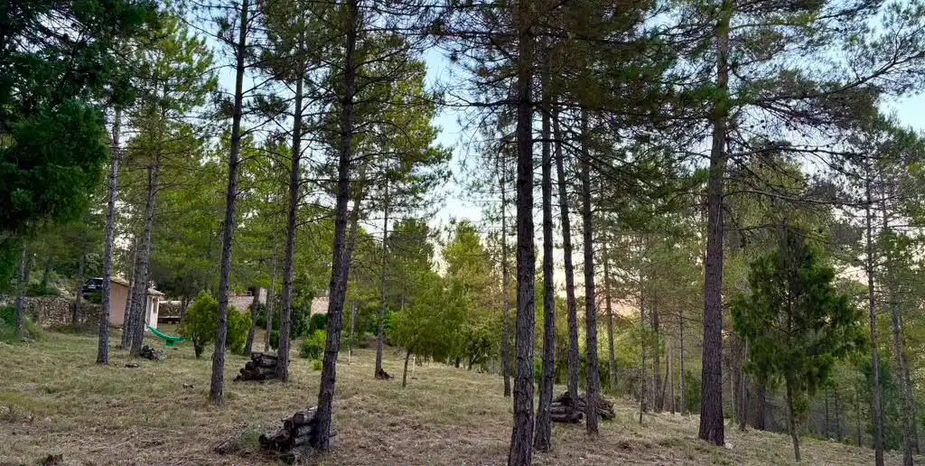 Terreno en venta en Monroyo