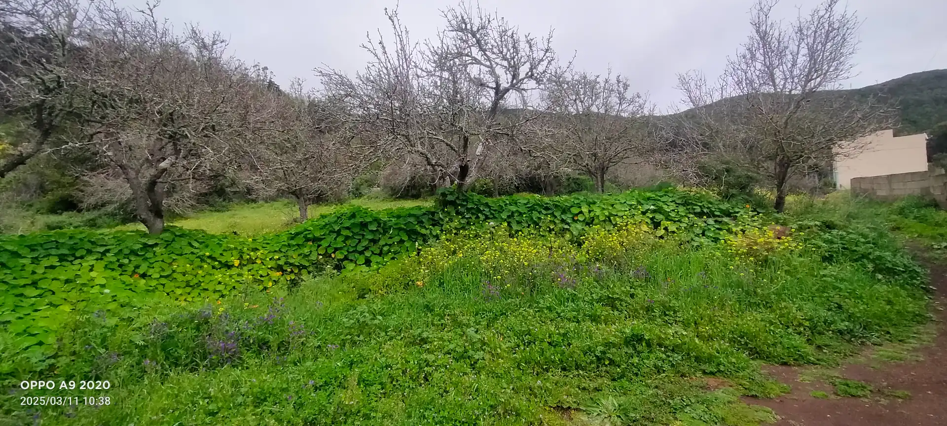Finca rústica en venda en San Cristóbal de la Laguna amb Jardí privat, Parquet i Terrassa