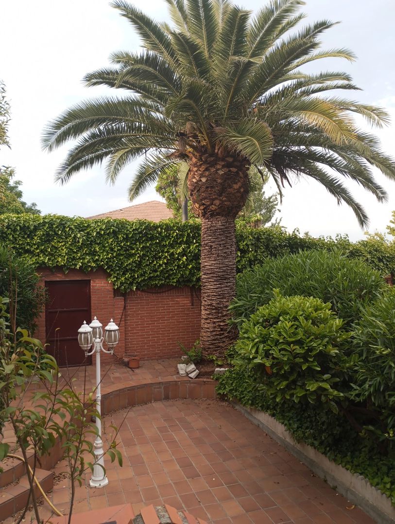 Garden of House or chalet for sale in Getafe  with Air Conditioner, Heating and Private garden