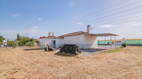 Foto 3 de Finca rústica en venta en Polígono 4 Paraje 31 Cerero, Bobadilla, Granada Capital