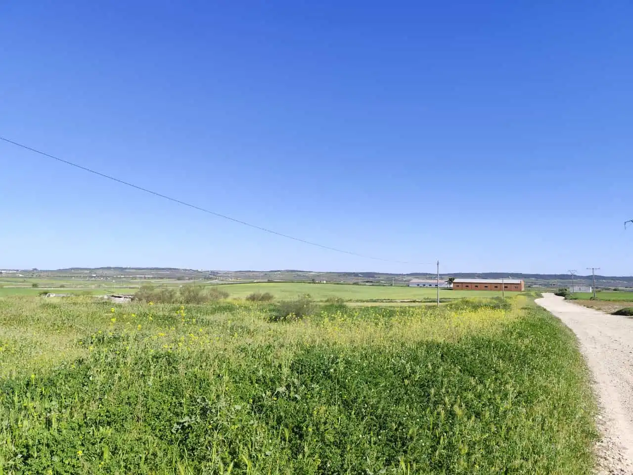Residential land for sale in EL PLEITO, imagen 7