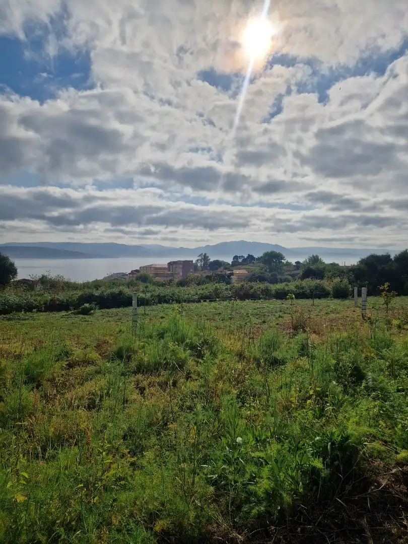 Land for sale in Fisterra