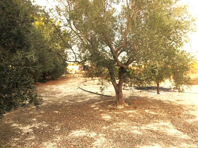 Terreno en Venta en Los Valientes