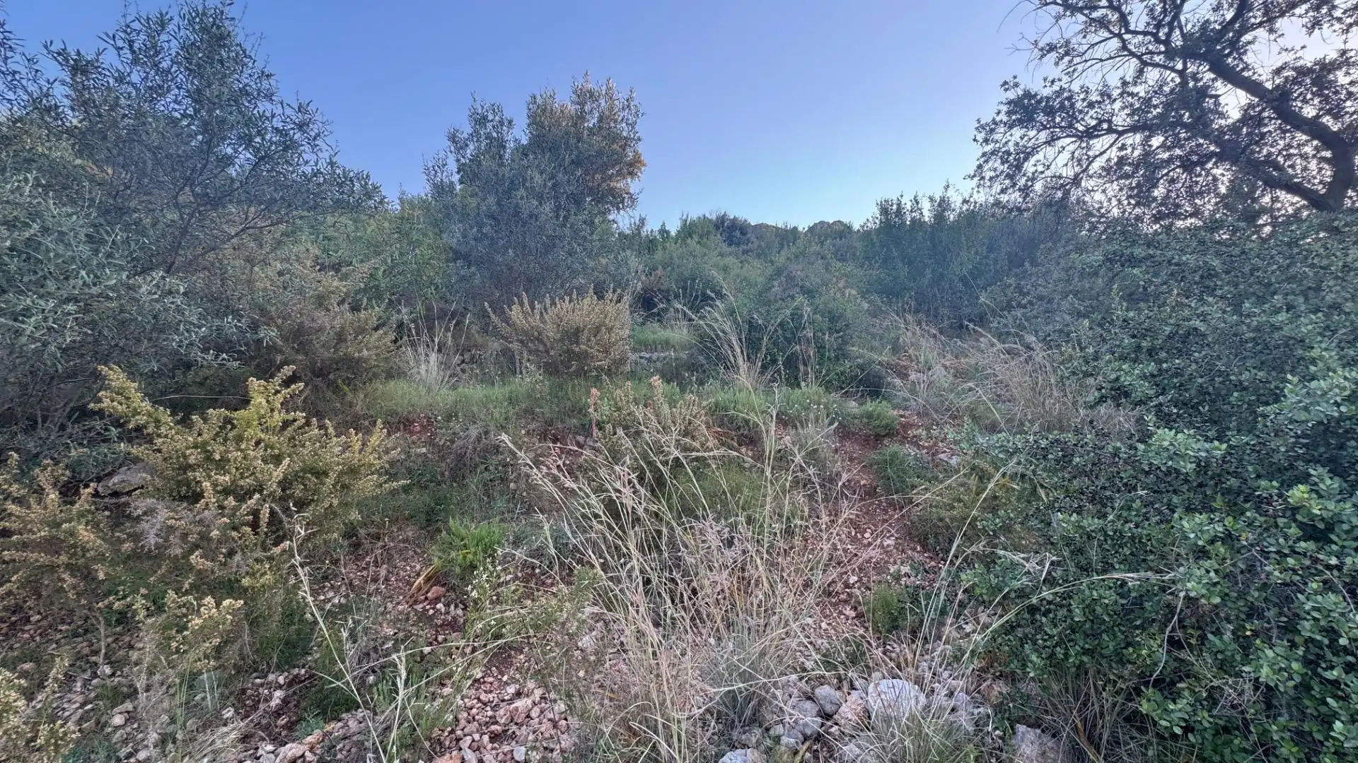 Terrenys i solars en venda a Pego, imagen 18