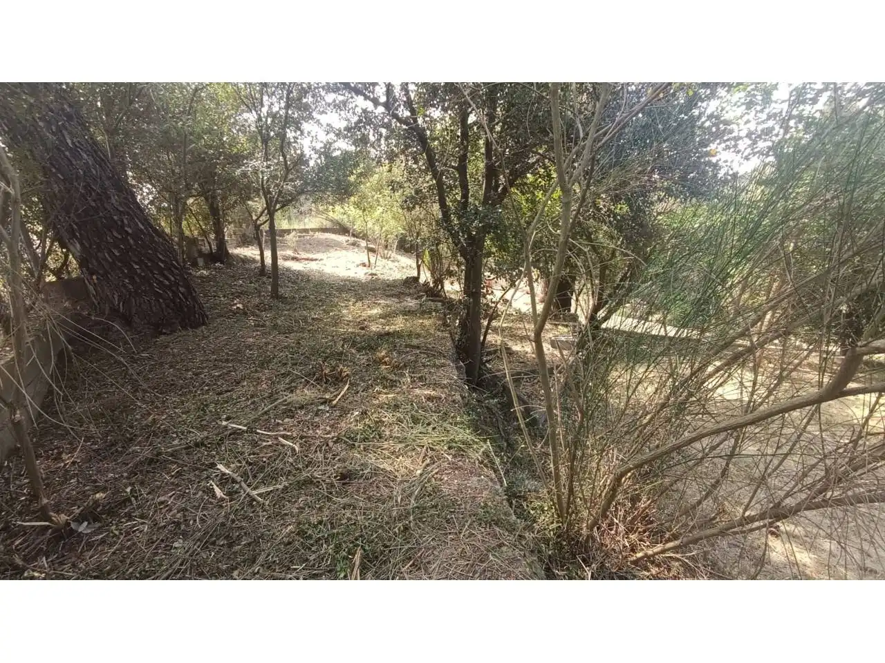 Rural land for sale in Vacarisses, imagen 25