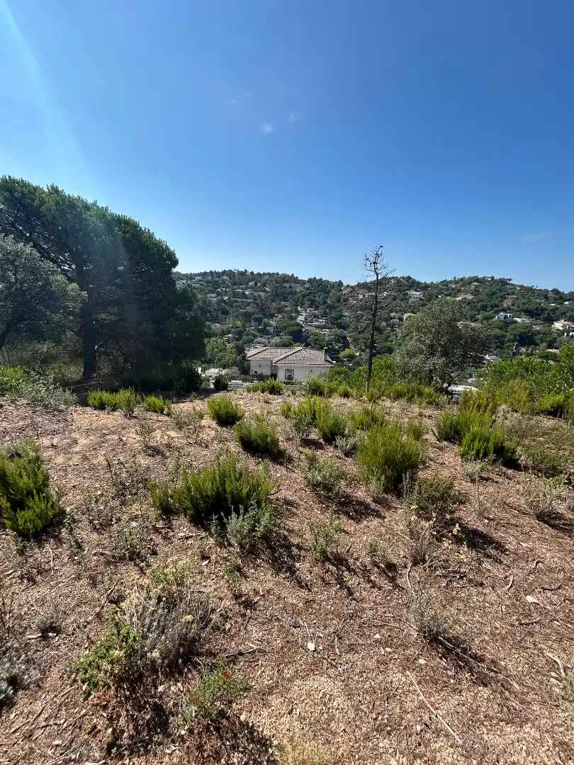Residential land for sale in Avinguda de la Senyera 27, imagen 7