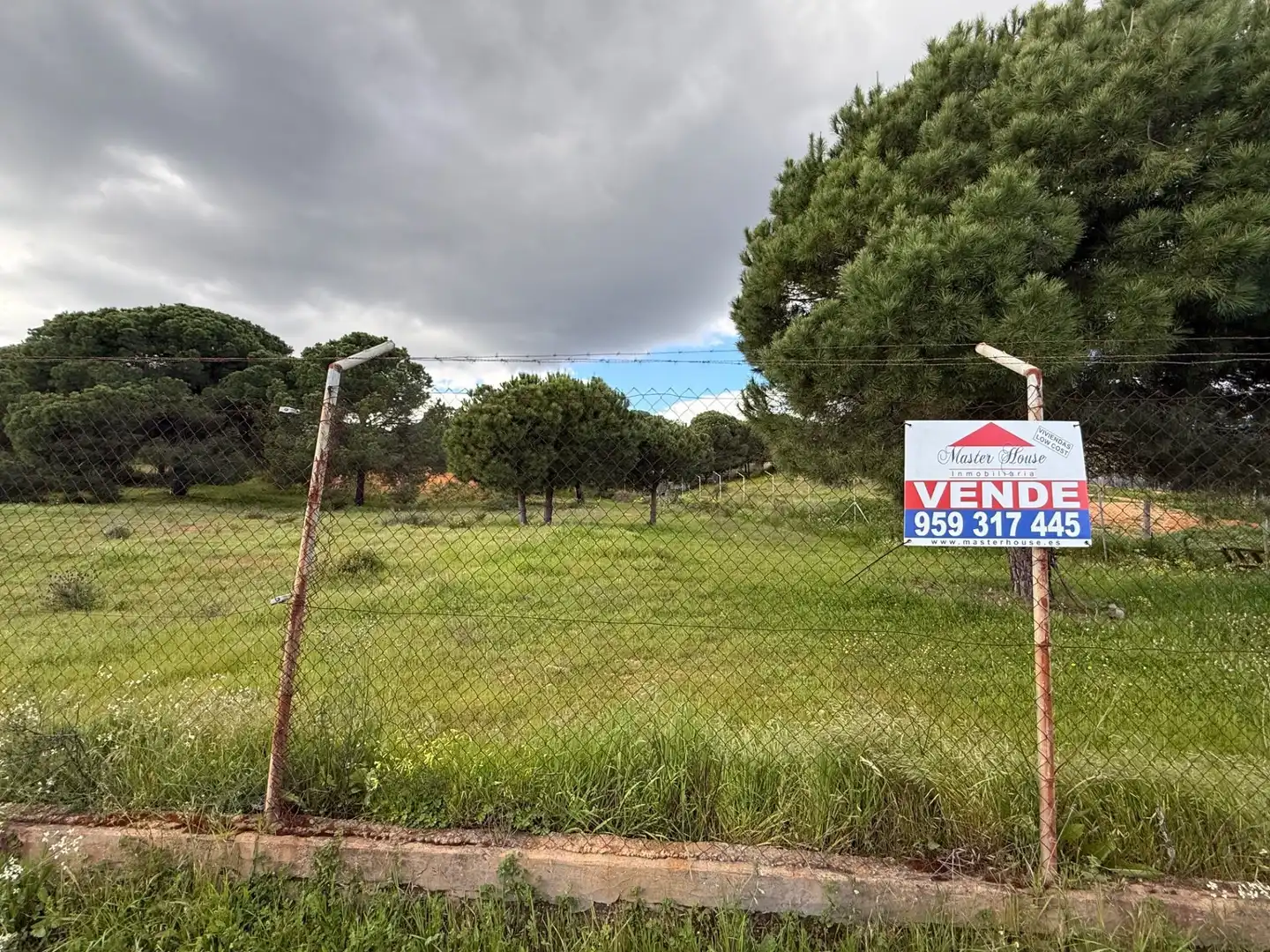 Terrenos y solares en venta en Las Palmillas