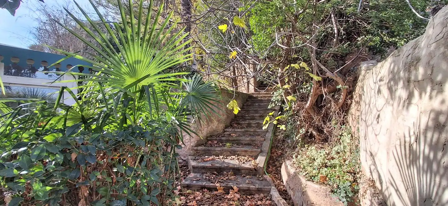 Jardín de Casa o chalet en venta en Novallas con Jardín privado