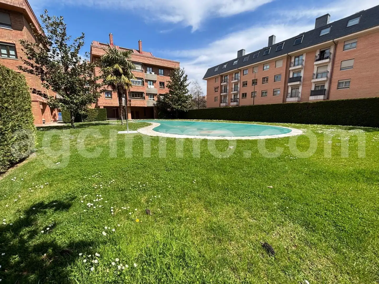 Piso de alquiler en Calle Ribera de Carrión, Parque Alameda - Paula López