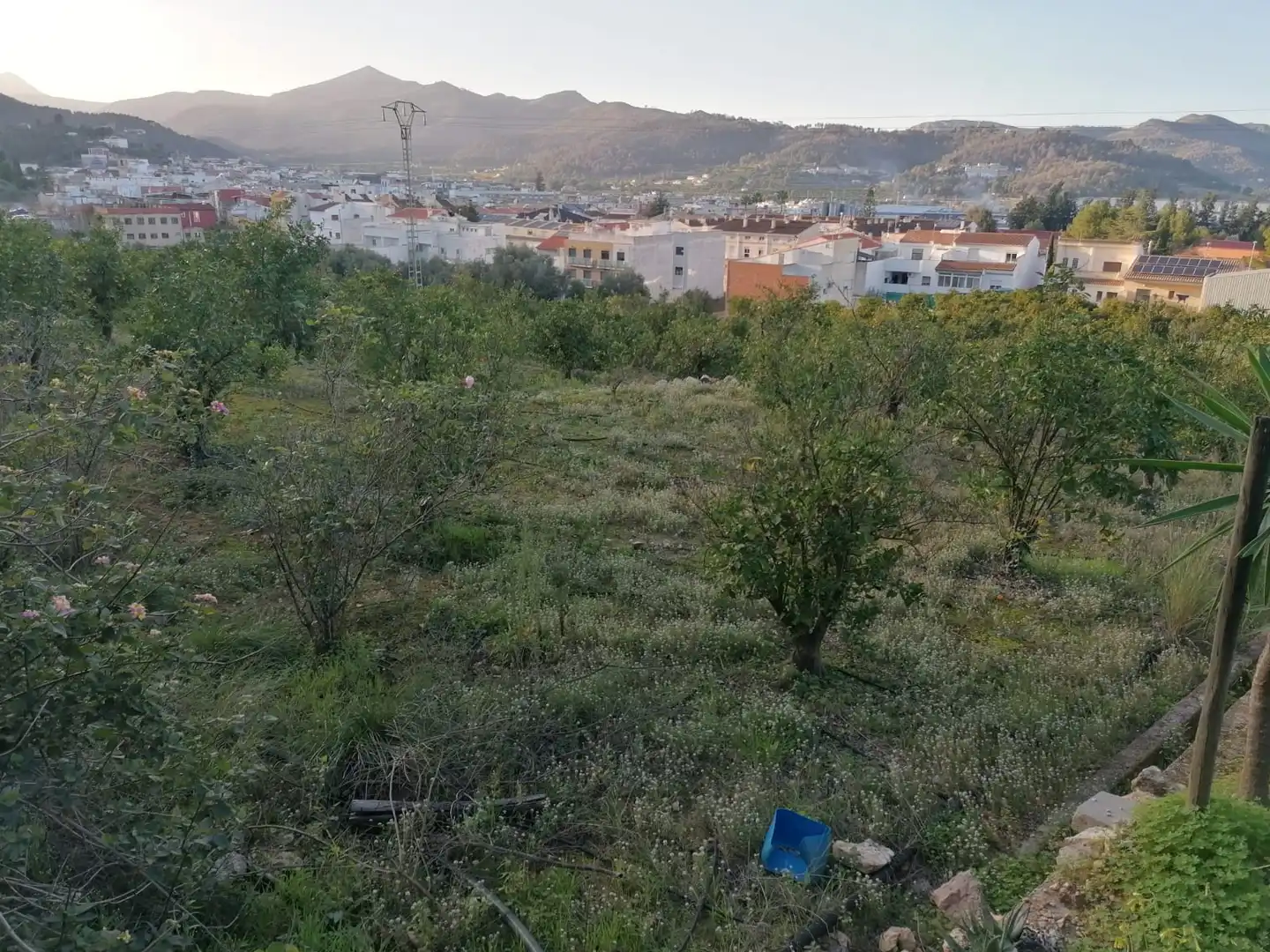 Rural land for sale in Vilallonga / Villalonga, imagen 7