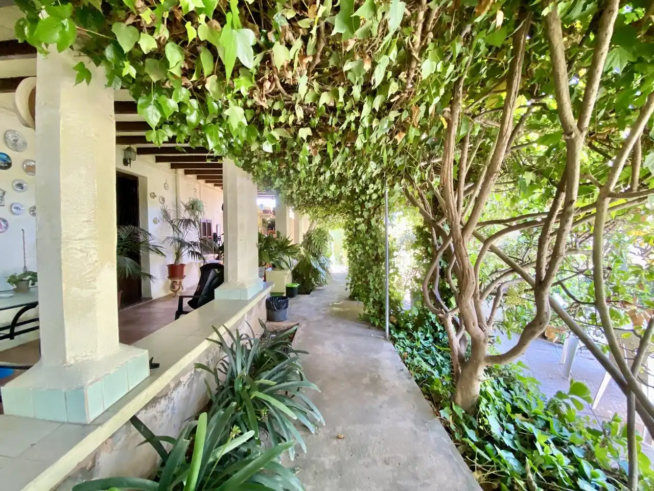 Terrasse von Haus oder Chalet zum Verkauf in  Palma de Mallorca mit Privatgarten, Terrasse und Abstellraum
