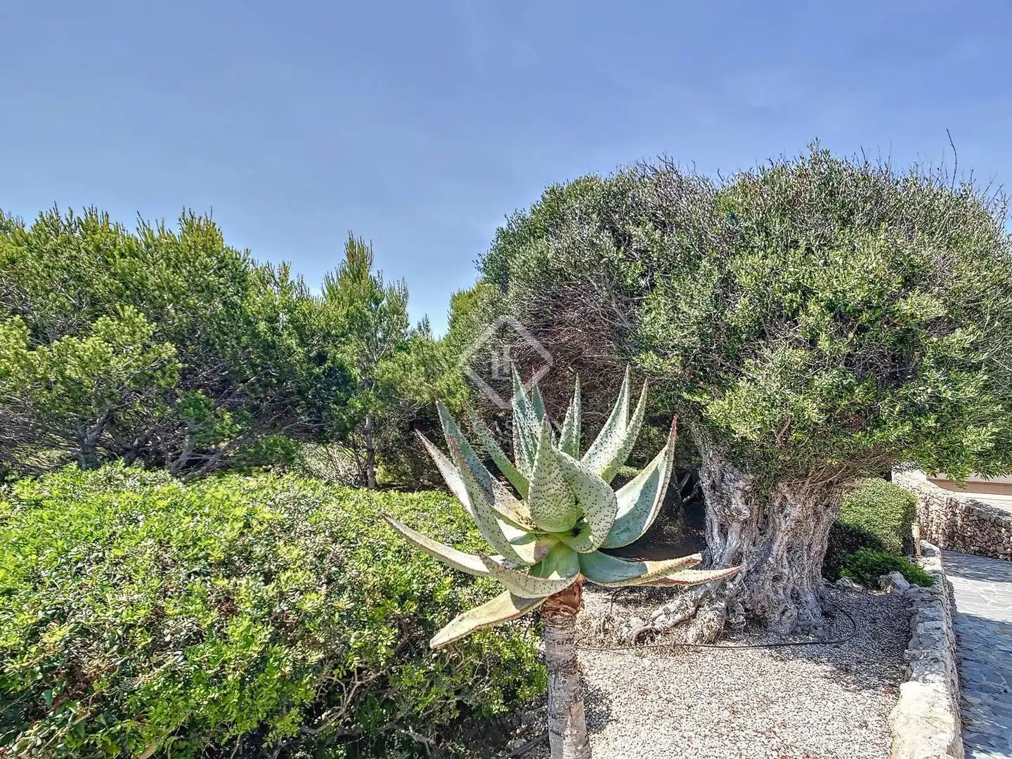 Garden of Houses for sale in Ciutadella de Menorca  with Heating, Private garden and Terrace