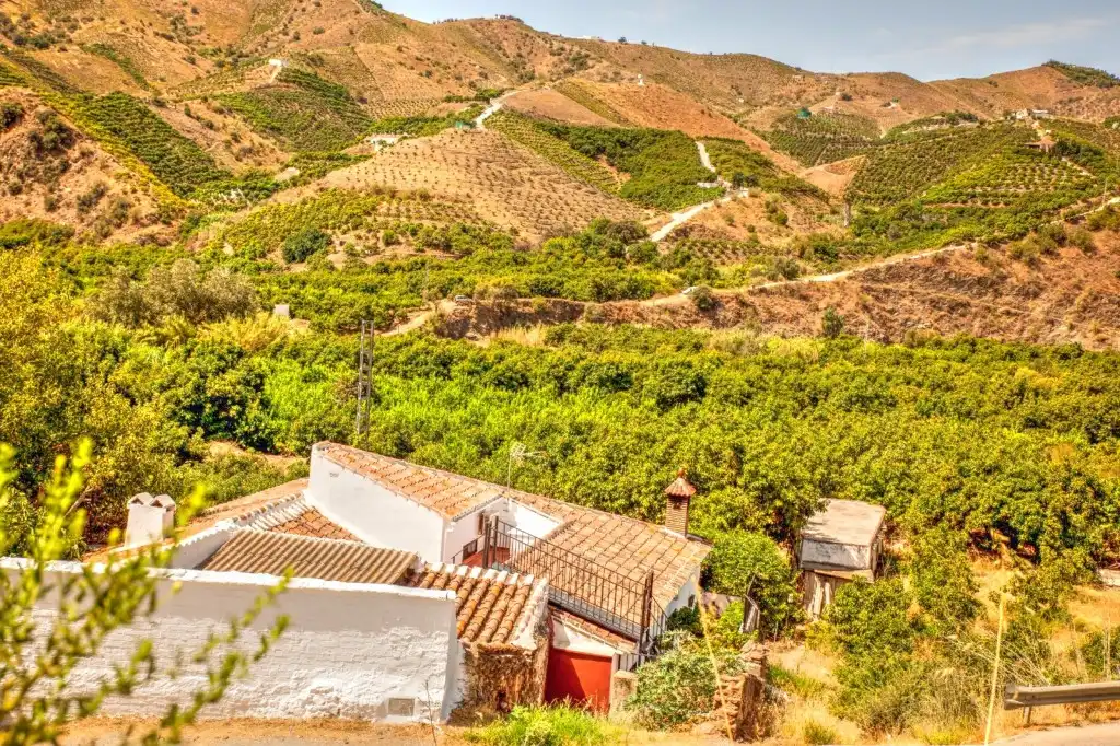 Vista exterior de Finca rústica en venta en Benamargosa con Aire acondicionado, Jardín privado y Terraza