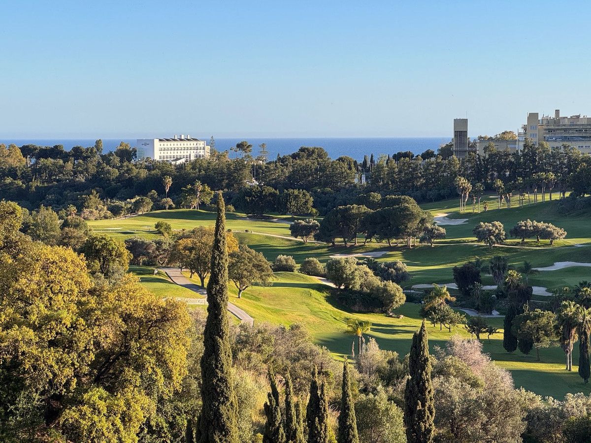 Exterior view of Single-family semi-detached for sale in Marbella