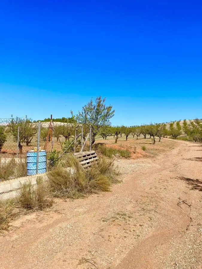 Residential land for sale in Vélez-Rubio, imagen 4