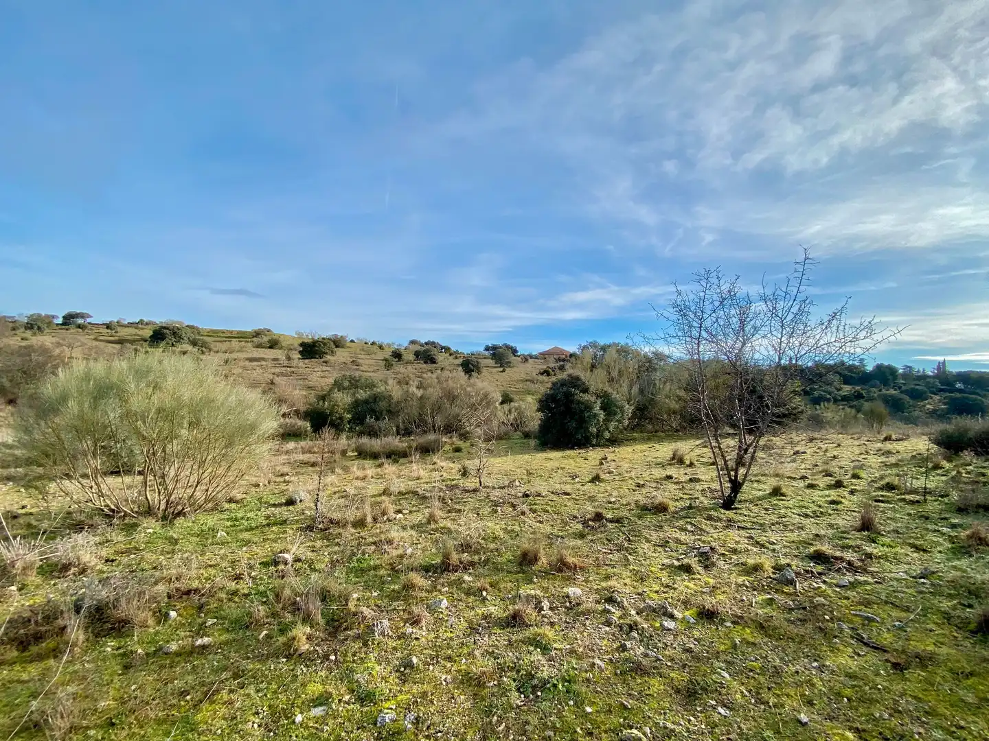 Rural land for sale in Mojadillas - Parque de las Infantas - El Paraiso, imagen 4