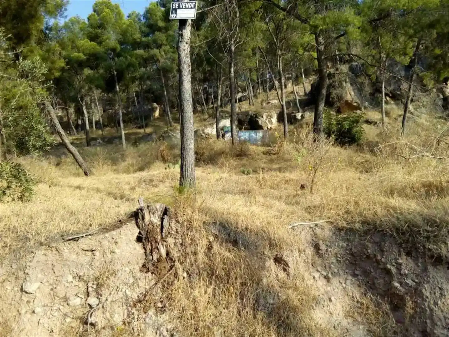 Terreno en venta en Pedanías Este