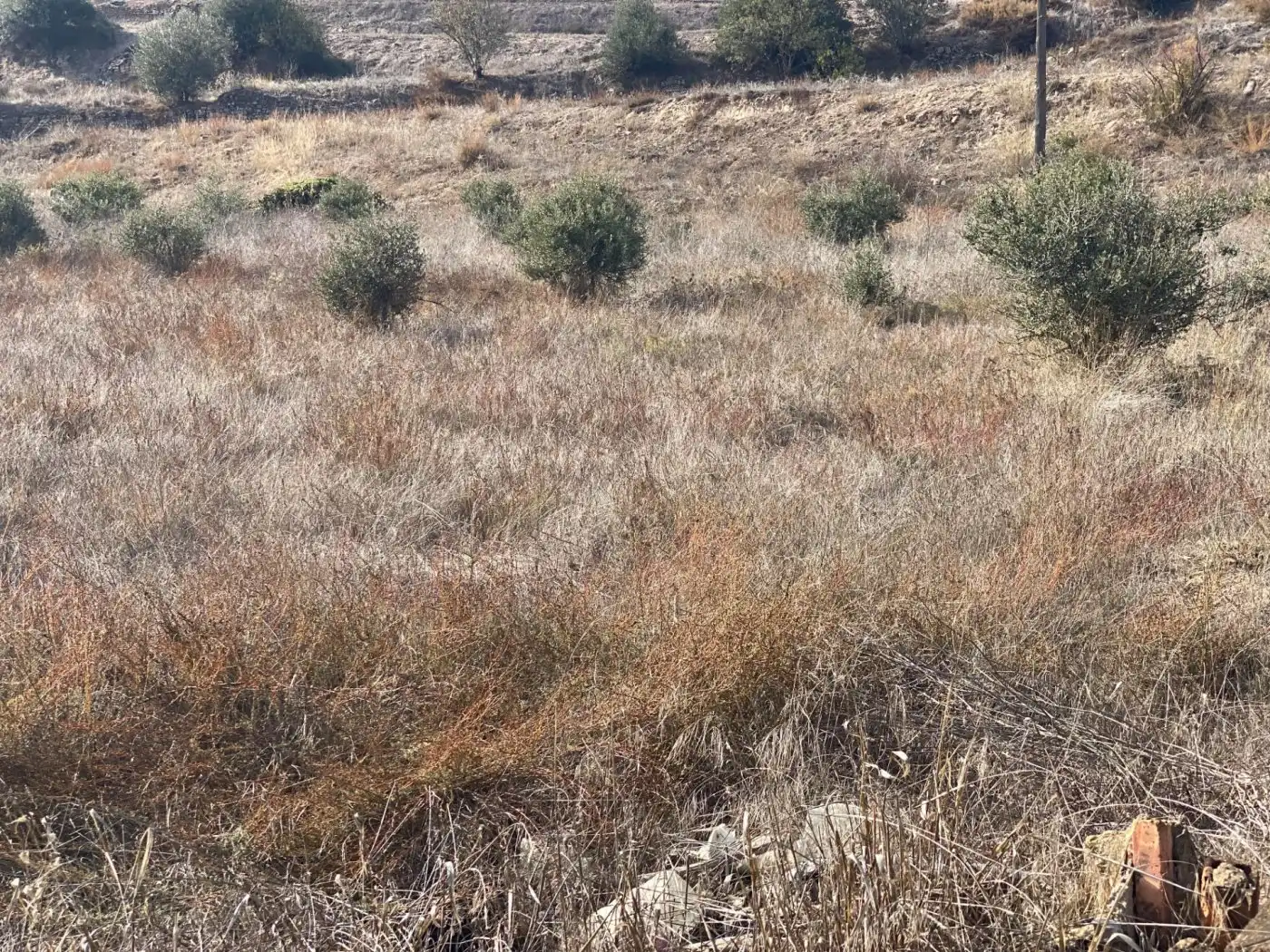 Residencial en venda en Torrefeta i Florejacs