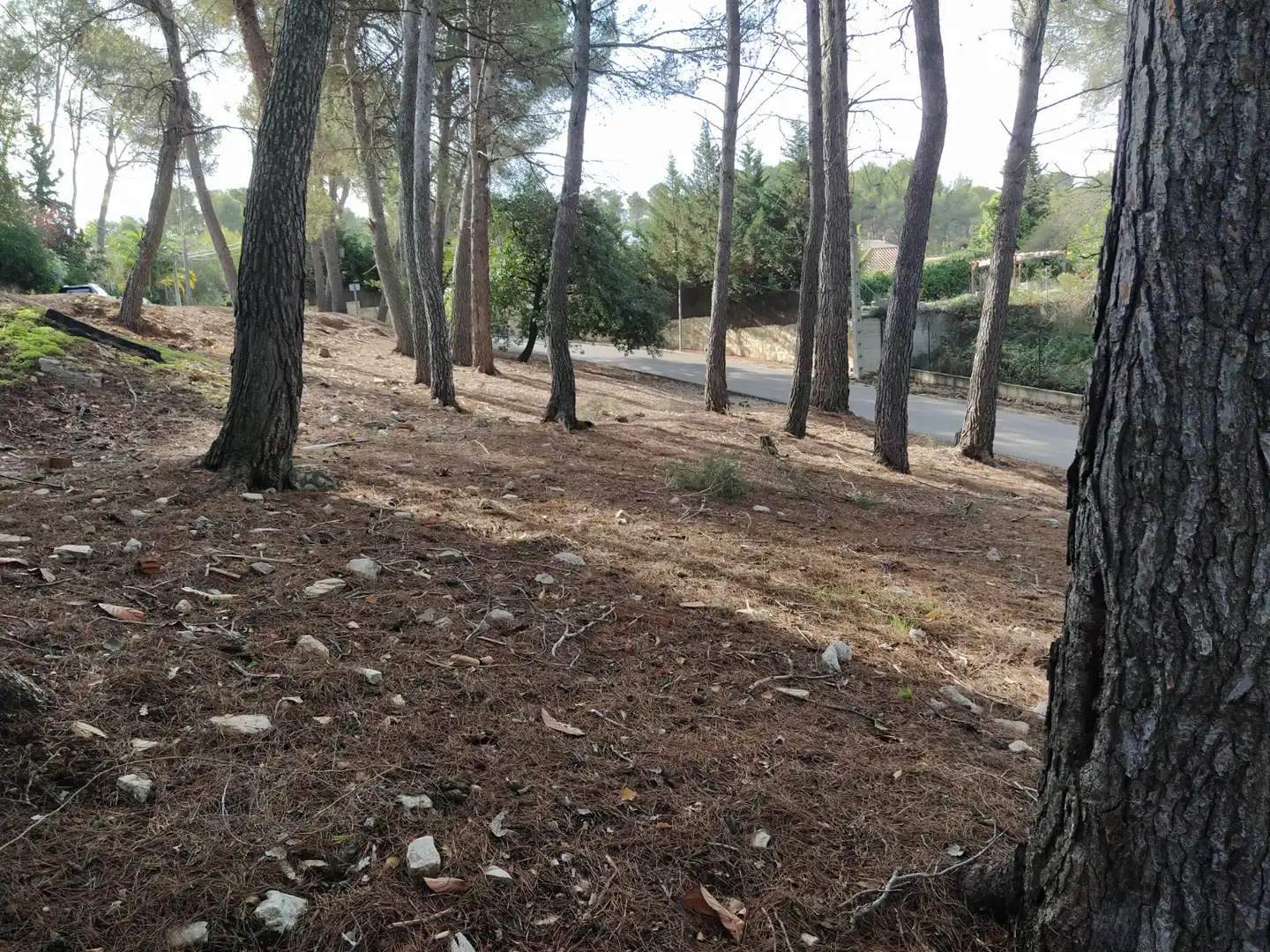 Terreny residencial en venda a Avinguda de la Mare de Déu de Lourdes 29, imagen 3