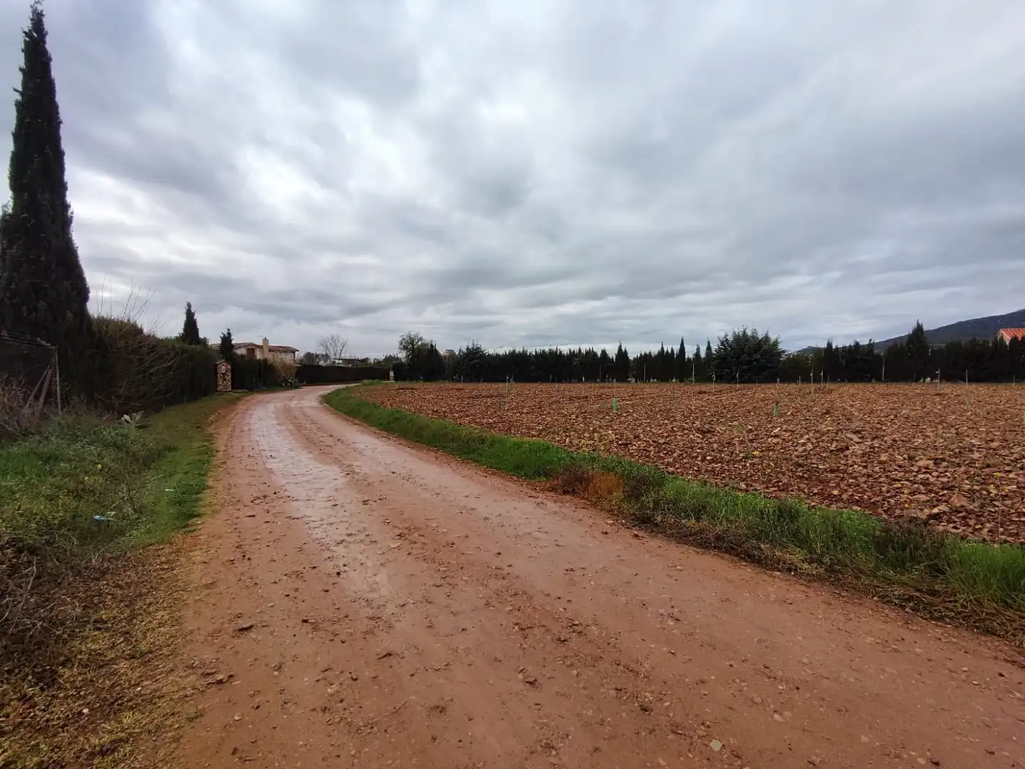 Terreno rustico in vendita a Villarrubia de los Ojos, imagen 3