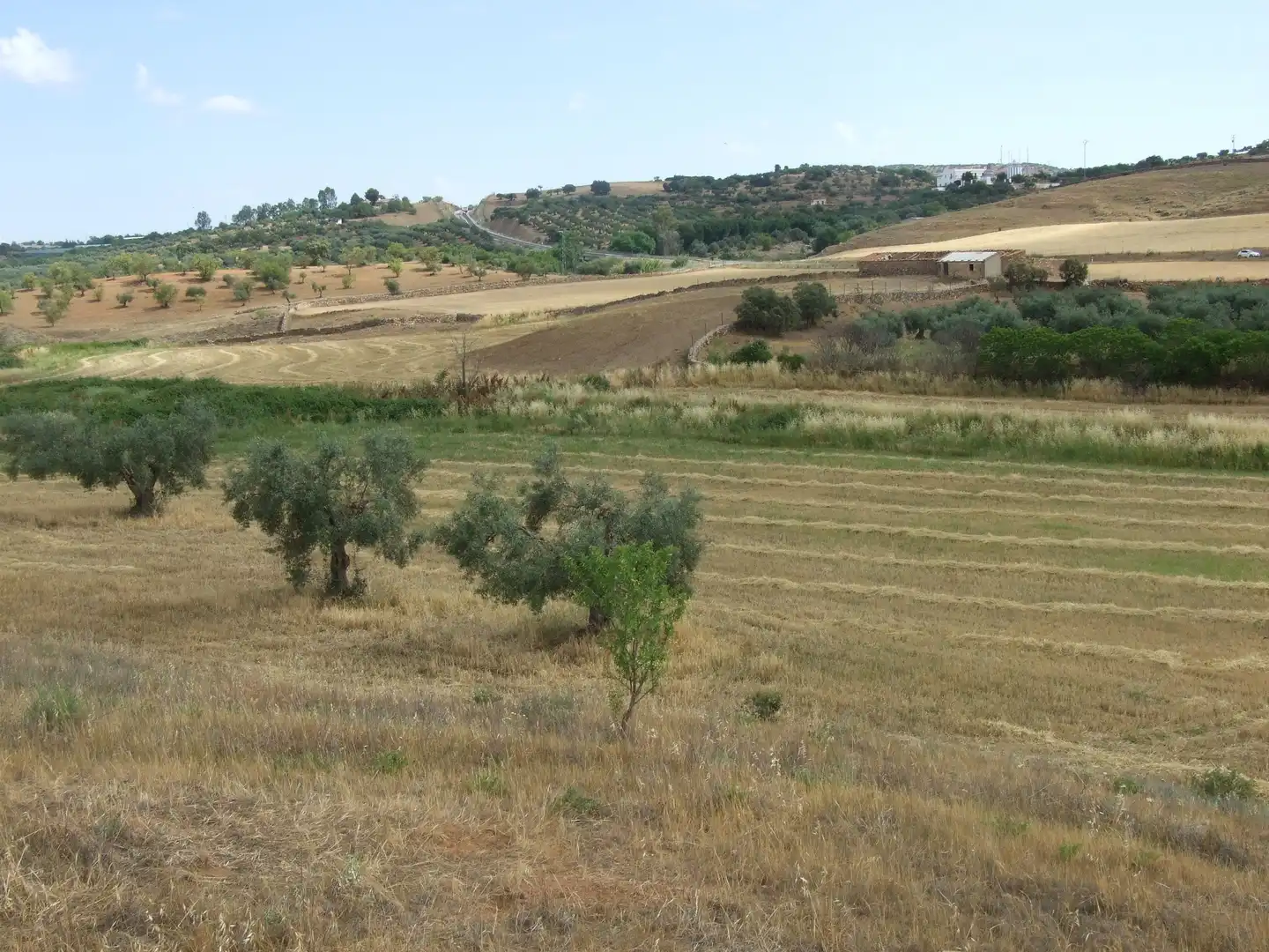 Terreni e lotti in vendita a Zafra, imagen 4