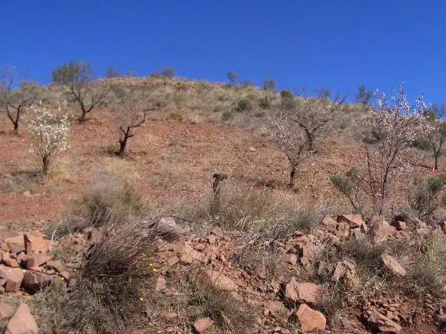 Terreno rustico in vendita a Pedanías Norte, imagen 6