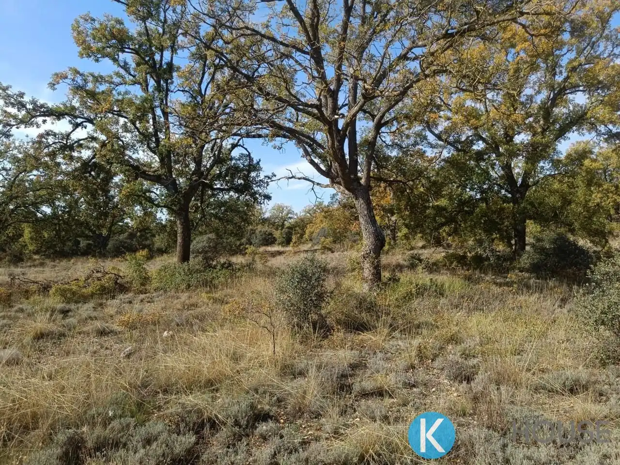 Land for sale in Pastrana