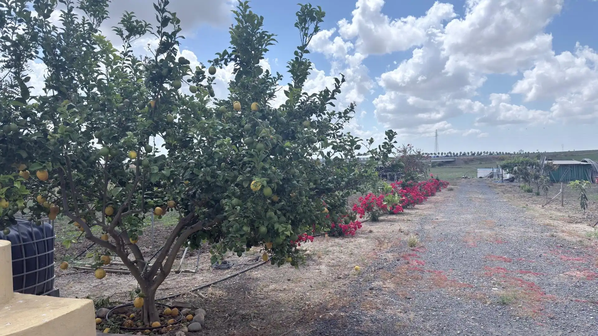 Terreni e lotti in vendita a San Juan del Puerto, imagen 46