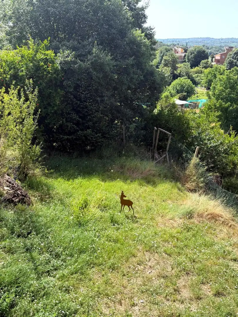Jardín de Planta baja en venta en Gironella con Calefacción y Jardín privado