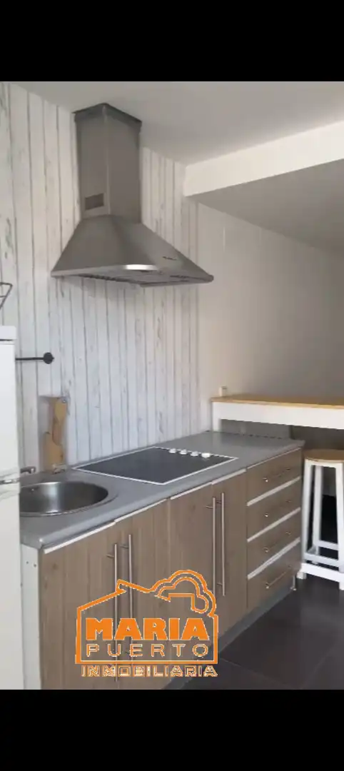 Kitchen of Apartments for rent in Málaga Capital  with Furnished